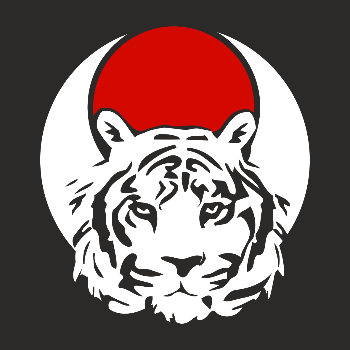 KARATE TORA KAI GANDIA