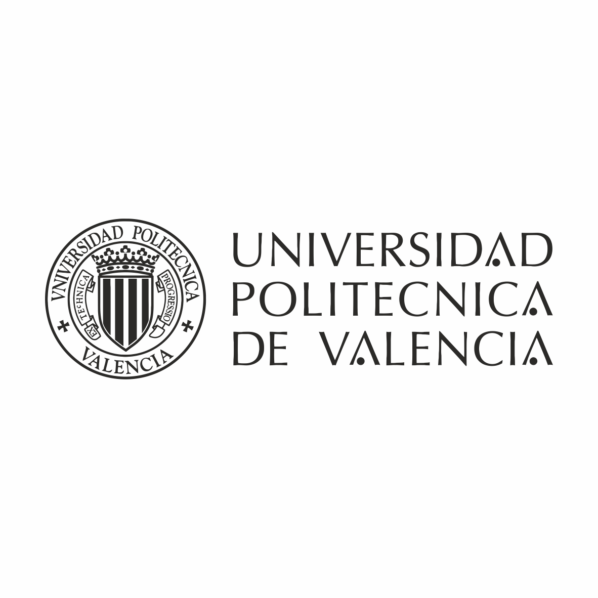 UPV - UNIVERSITAT POLITECNICA DE VALENCIA