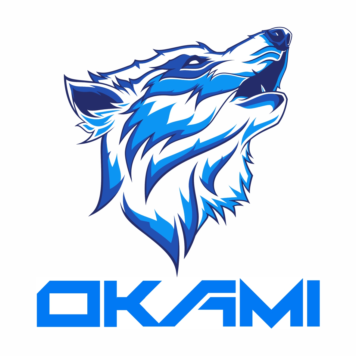 CLUB KARATE ALDAIA (OKAMI)