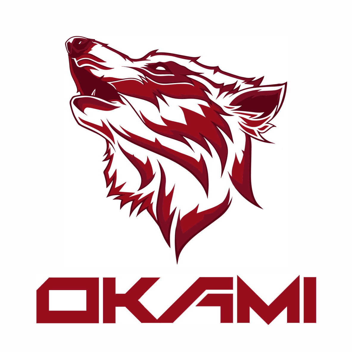 CLUB KARATE ALAQUAS (OKAMI)