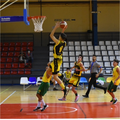 CB Cervantes. Baloncesto